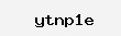 Verification code CAPTCHA