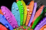 Diving into the Rainbow: Know how colors shape personality & perception